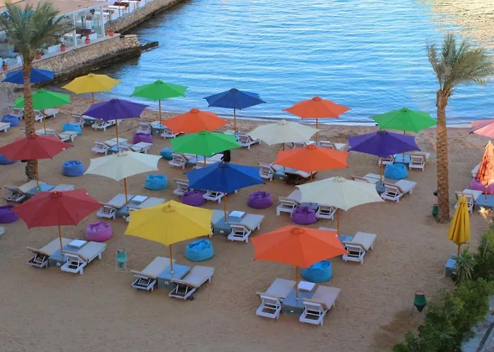 Shellghada Blue