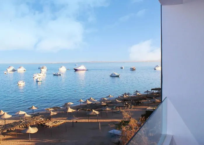 Shellghada Blue *